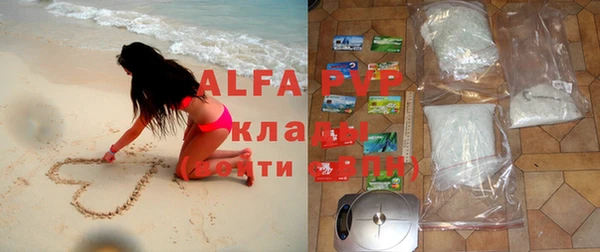 спиды Аркадак