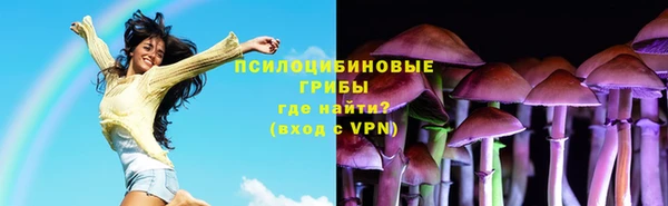 спиды Аркадак