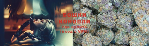 спиды Арсеньев