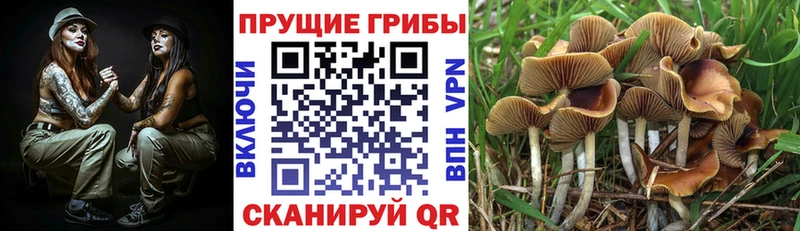 Галлюциногенные грибы мухоморы  OMG онион  Шарыпово 